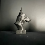 Dutch Shepherd Bust II