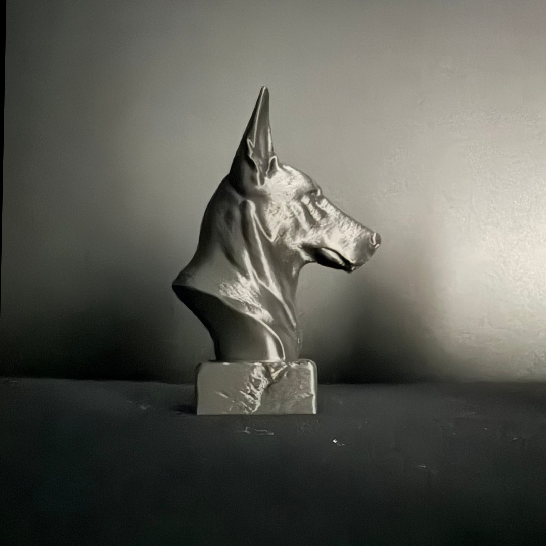 Dutch Shepherd Bust II