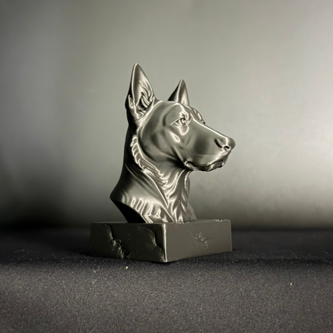 Dutch Shepherd Bust