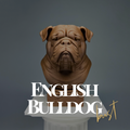 English Bulldog Bust