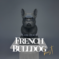 French Bulldog Low Poly Bust