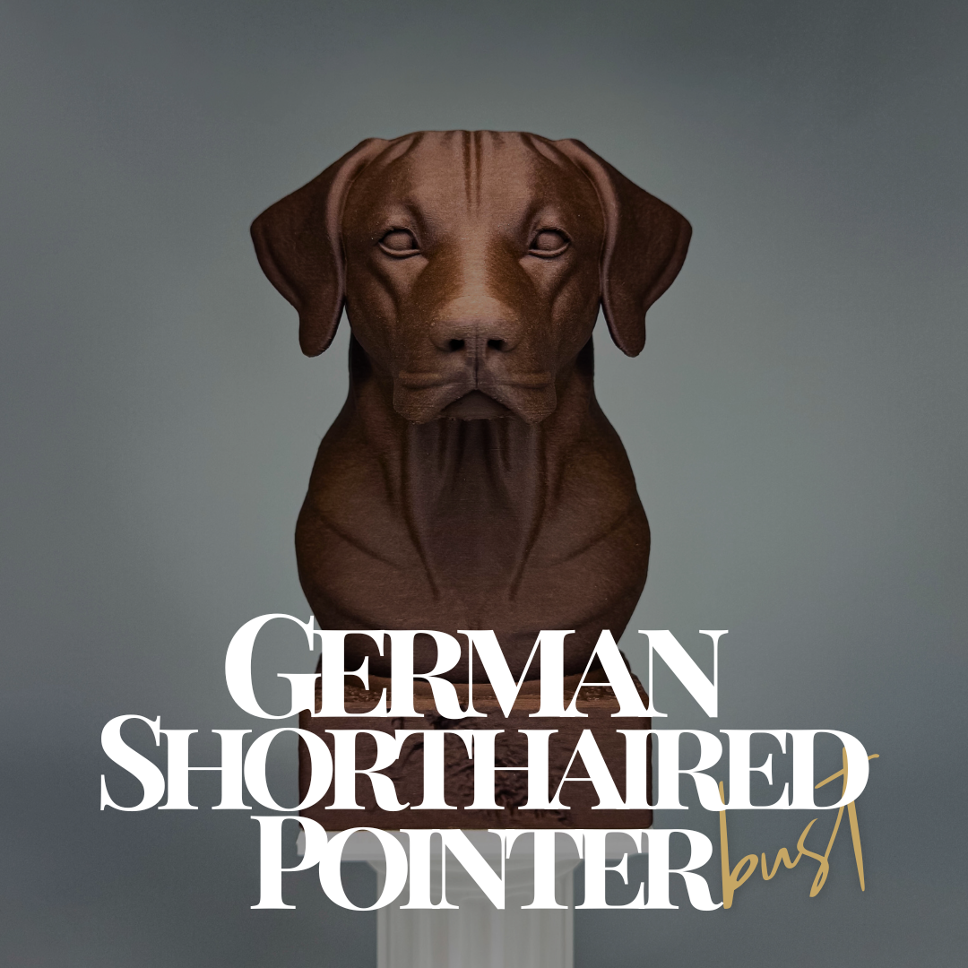 German Shorthaired Pointer Bust