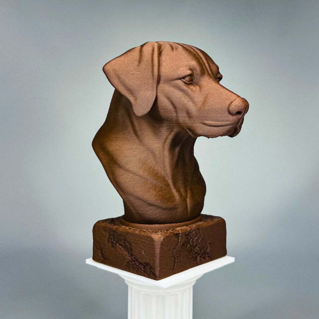 German Shorthaired Pointer Bust