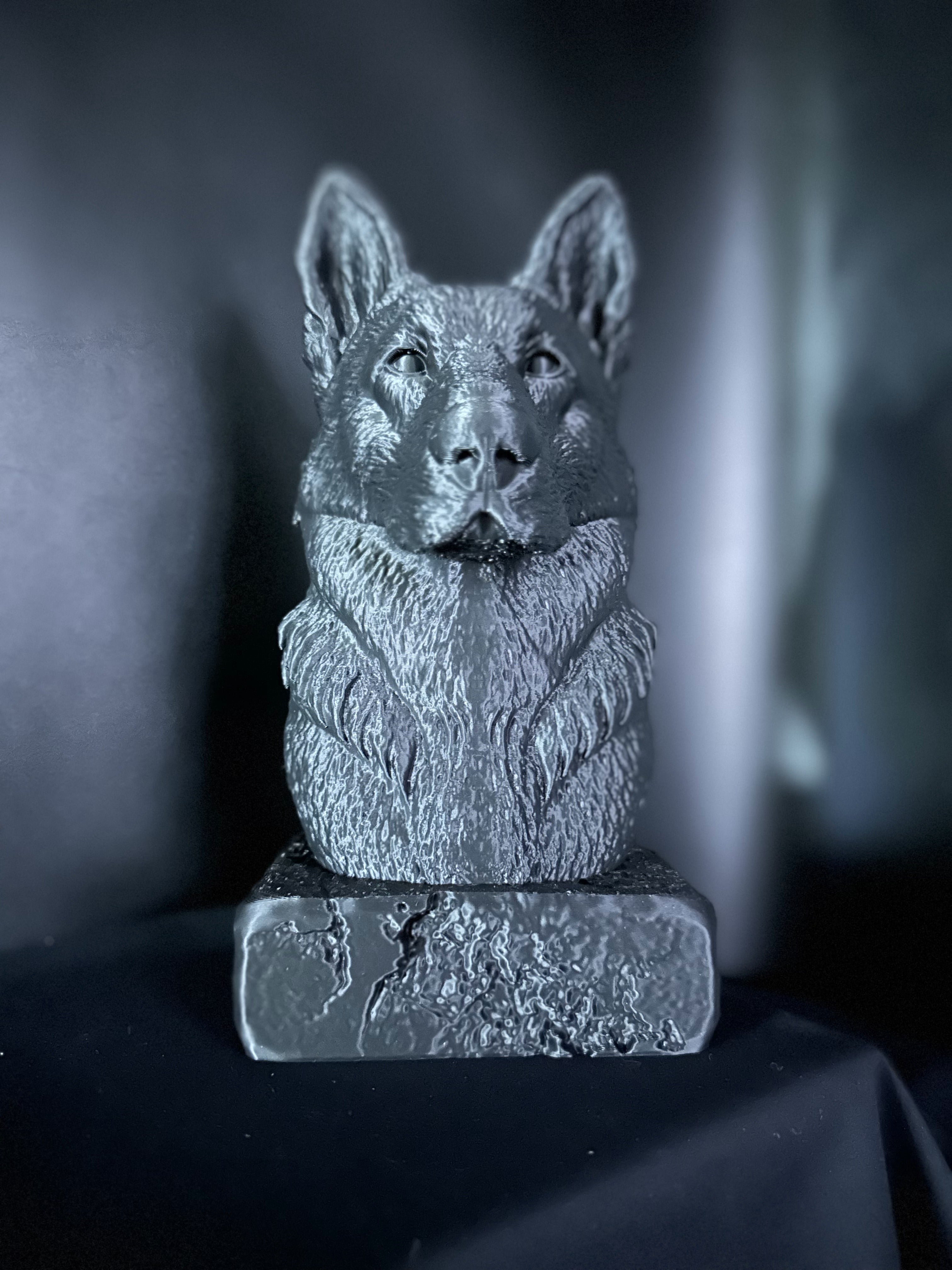 German Shepherd (Aged) Bust