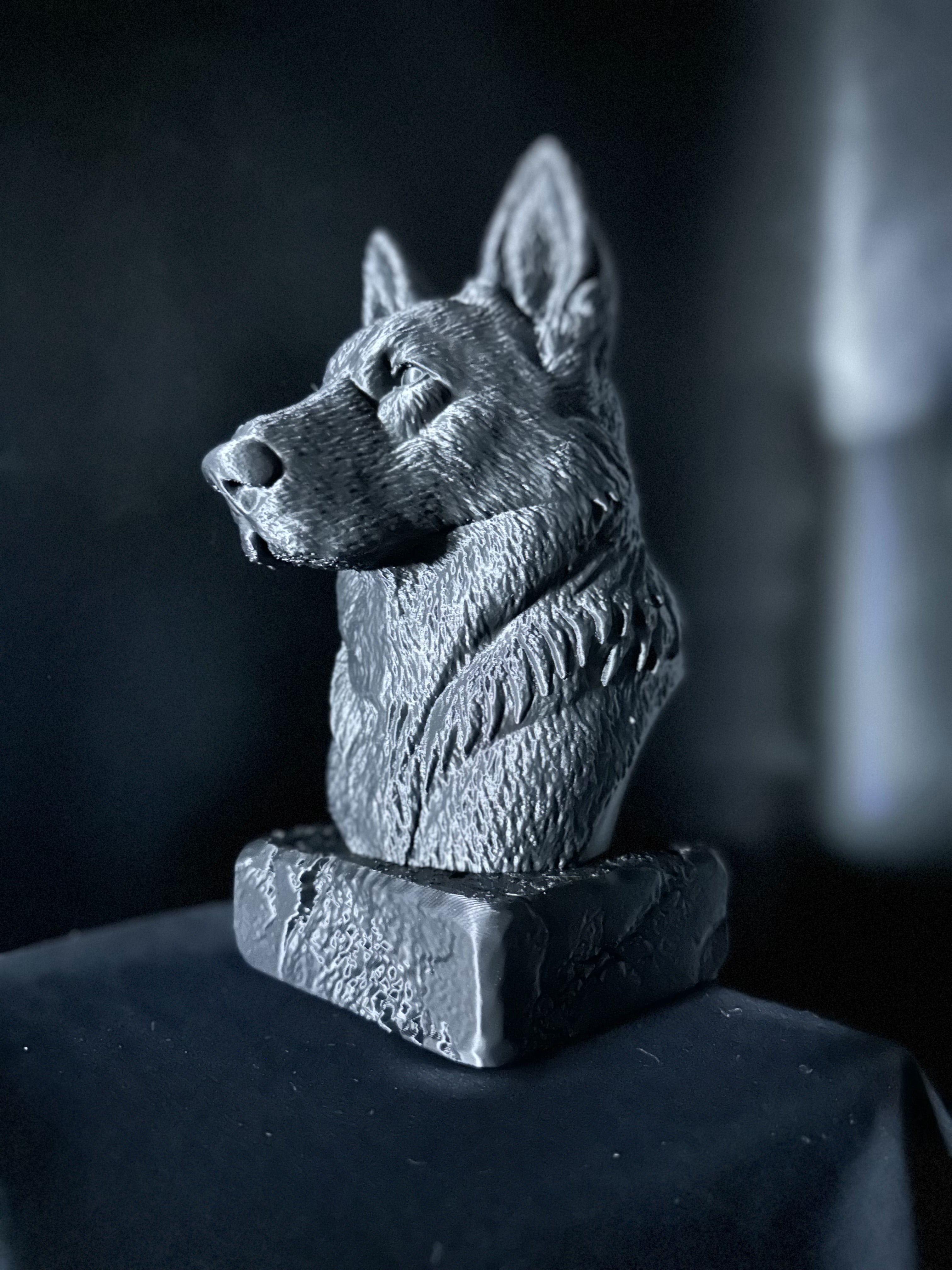 German Shepherd (Aged) Bust