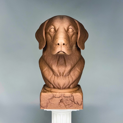Golden Retriever Bust (American)