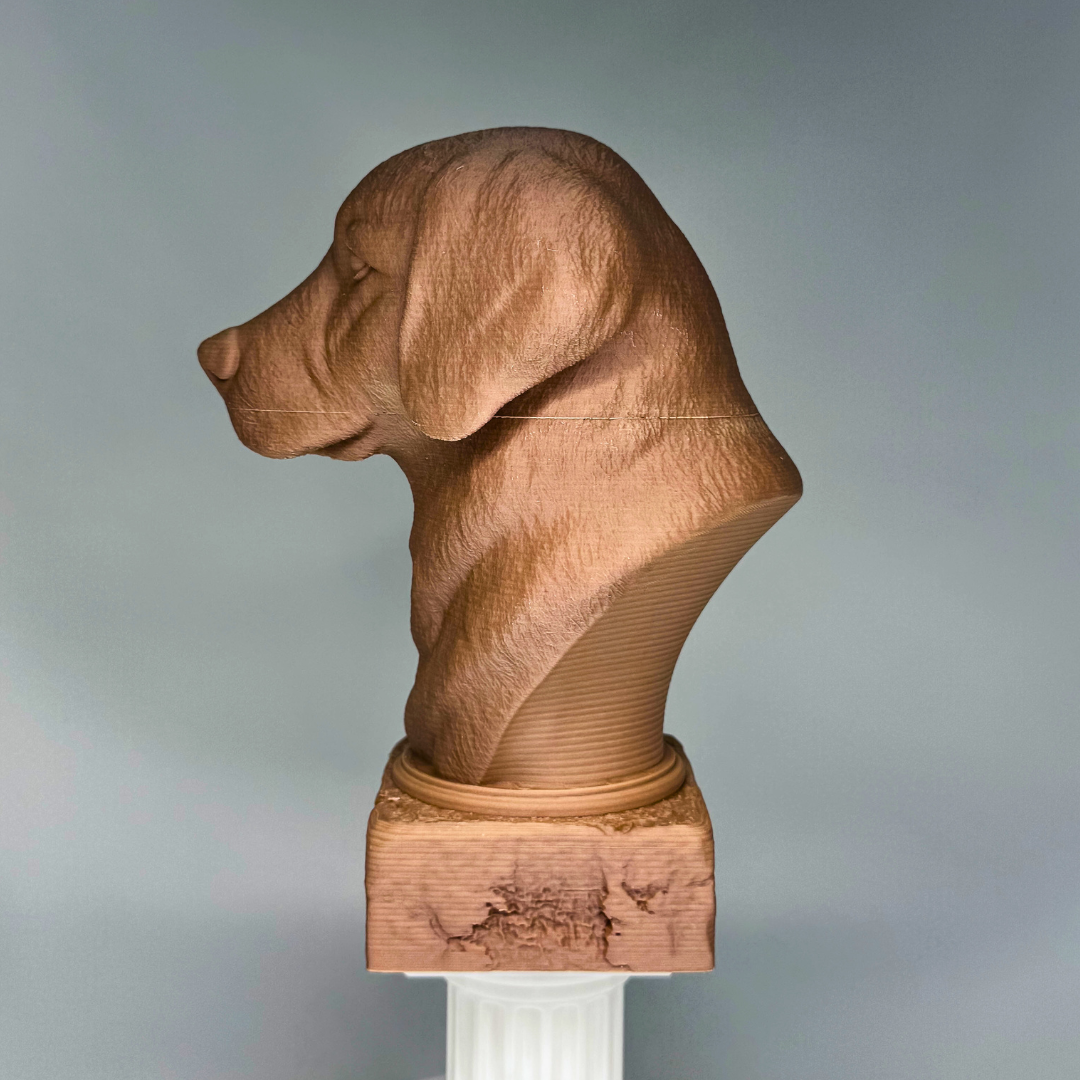 Golden Retriever Bust