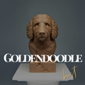 Goldendoodle Bust