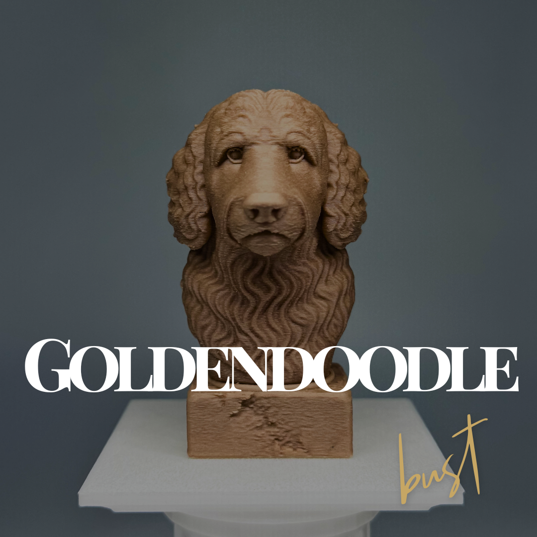 Goldendoodle Bust