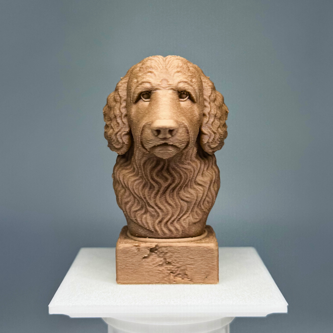Goldendoodle Bust