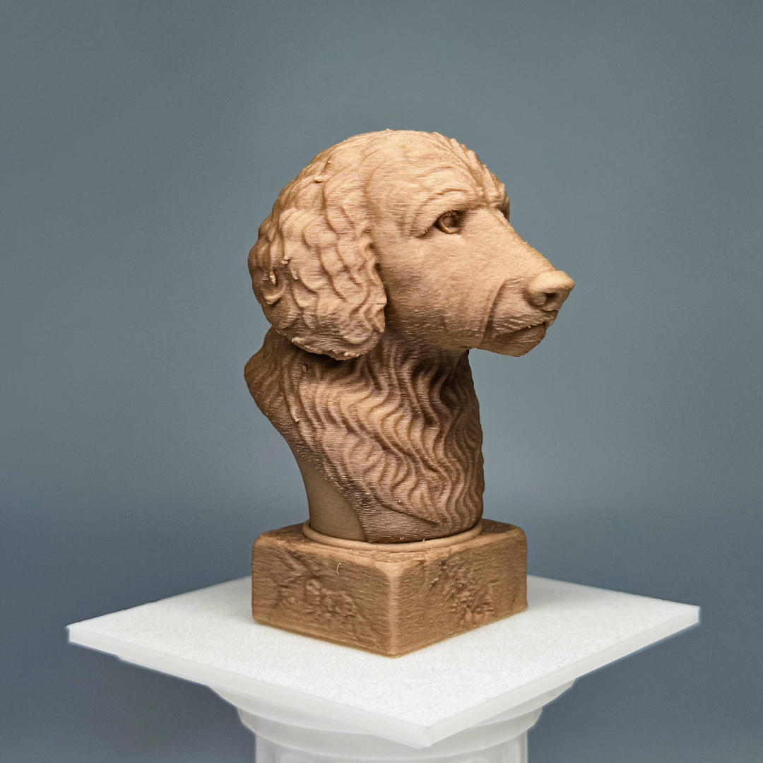 Goldendoodle Bust
