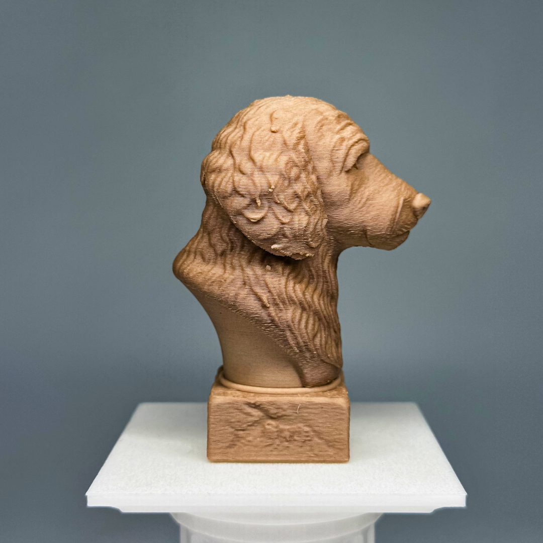 Goldendoodle Bust
