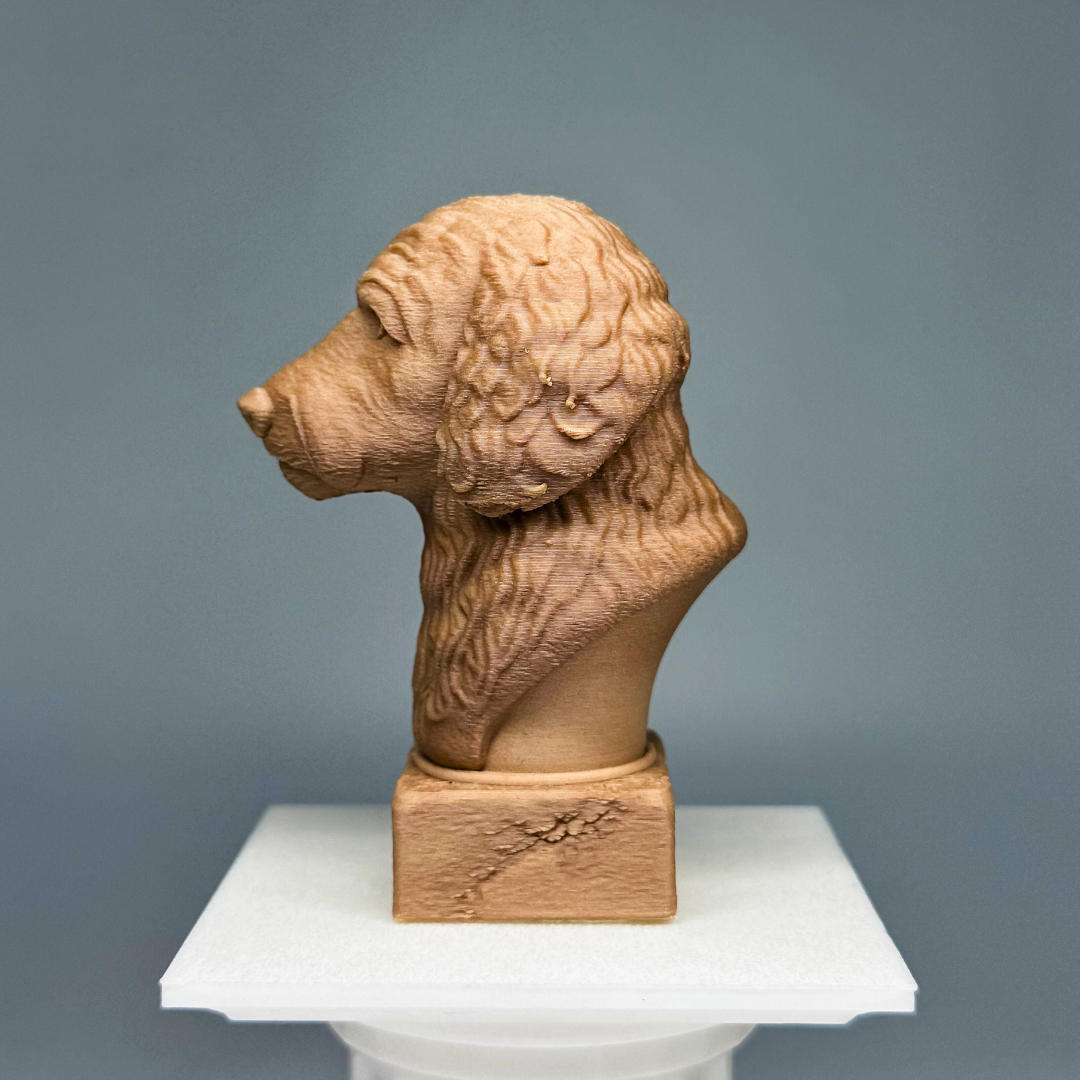 Goldendoodle Bust