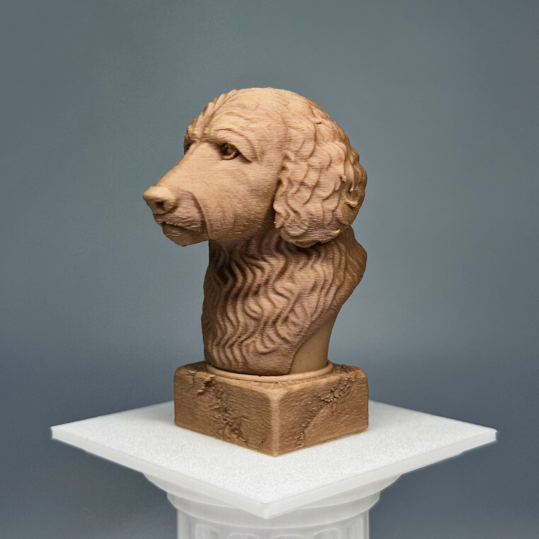 Goldendoodle Bust