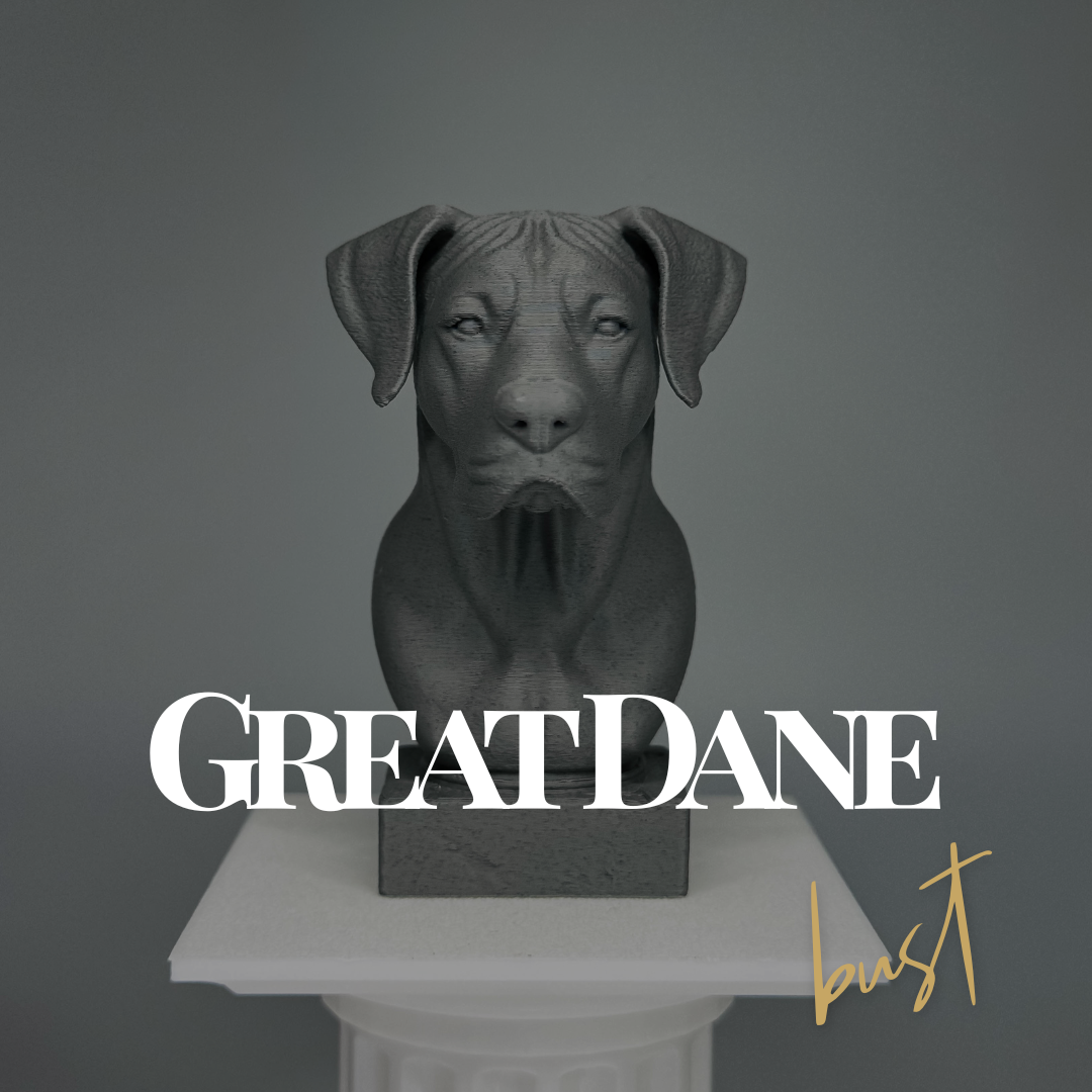 Great Dane Bust
