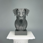 Great Dane Bust
