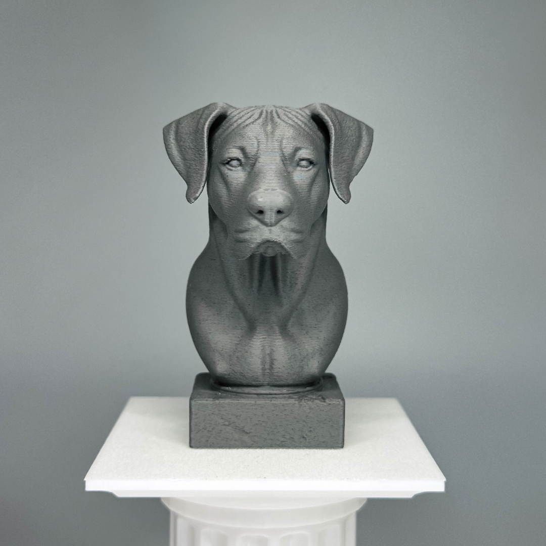 Great Dane Bust