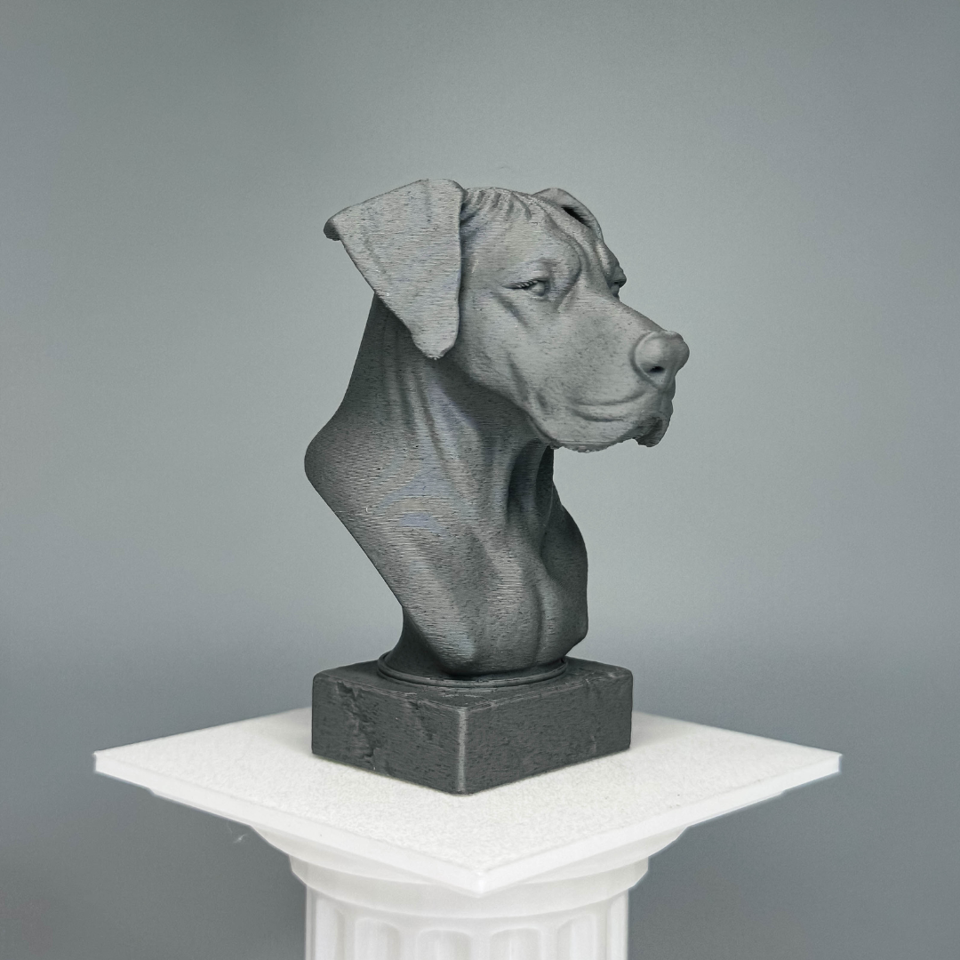 Great Dane Bust