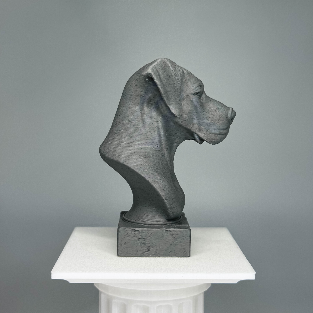 Great Dane Bust
