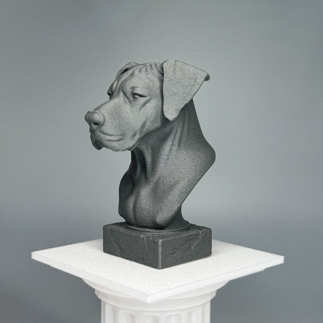 Great Dane Bust