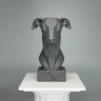 Greyhound Bust