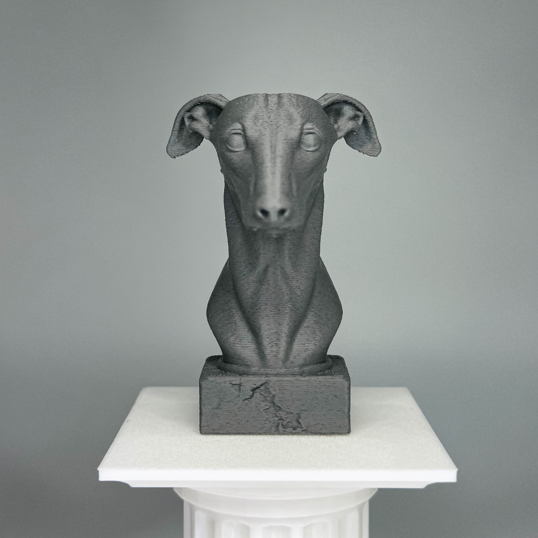 Greyhound Bust