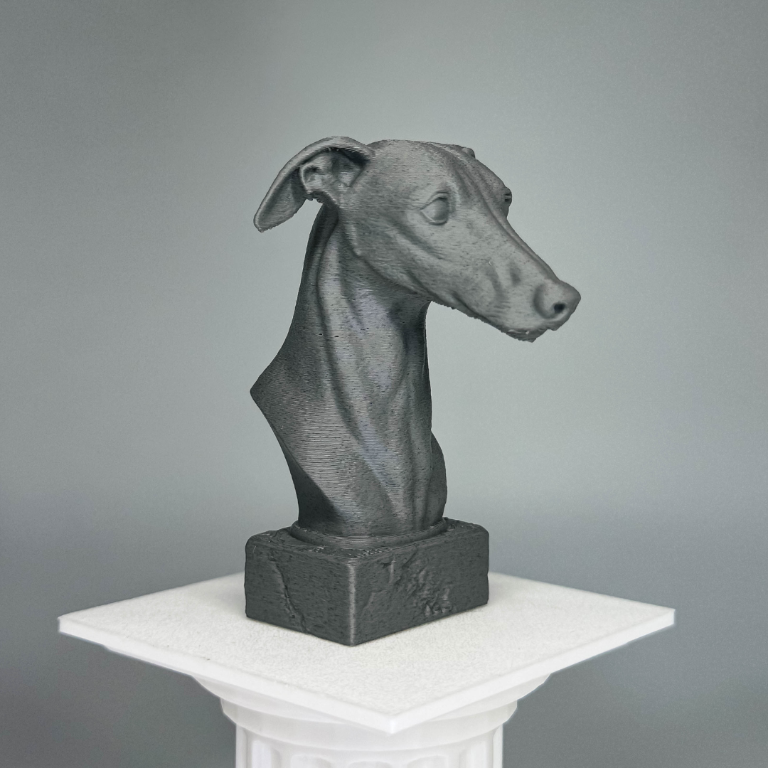 Greyhound Bust