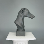Greyhound Bust