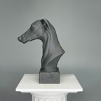 Greyhound Bust