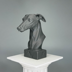 Greyhound Bust