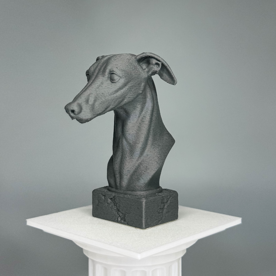 Greyhound Bust
