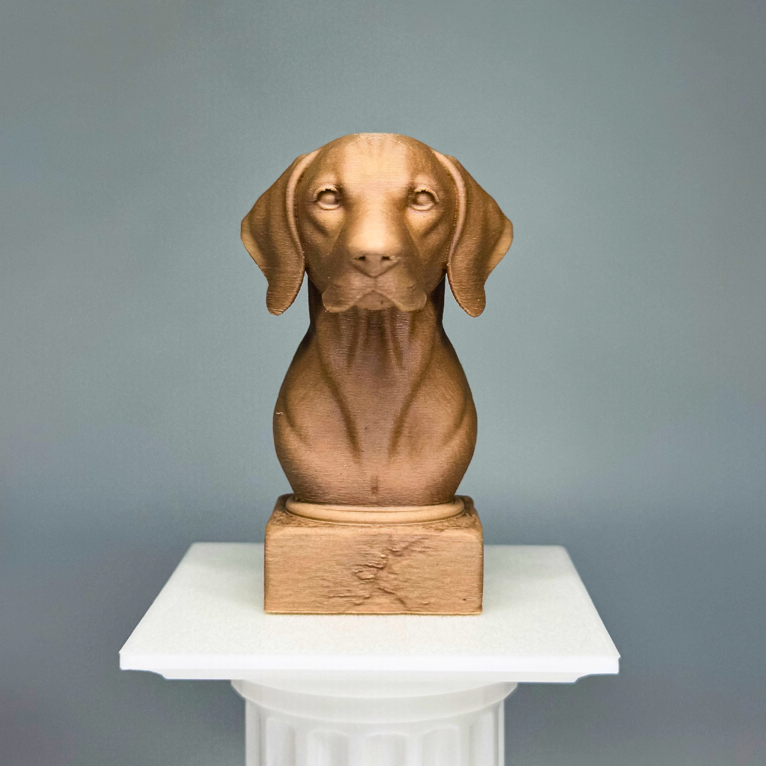 Hungarian Vizsla Bust