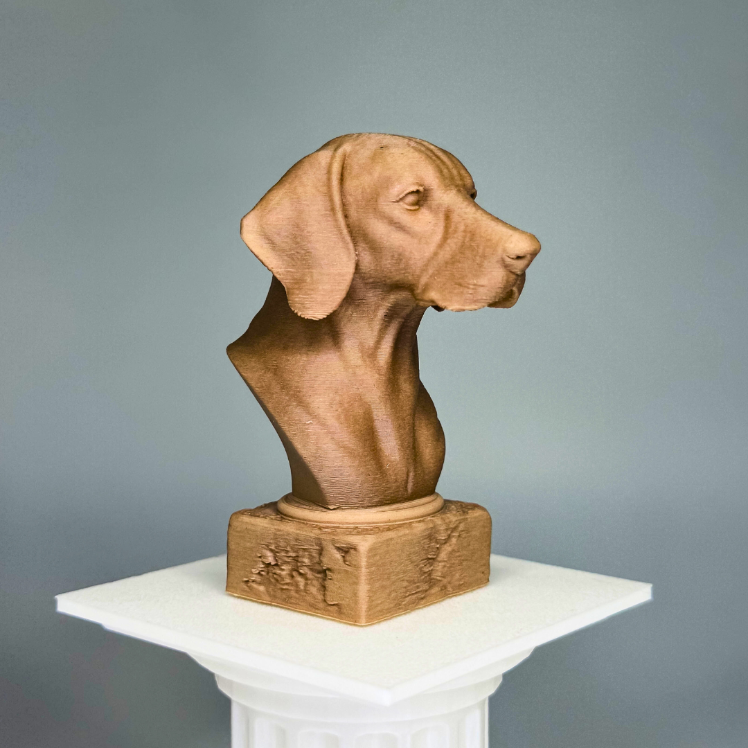 Hungarian Vizsla Bust