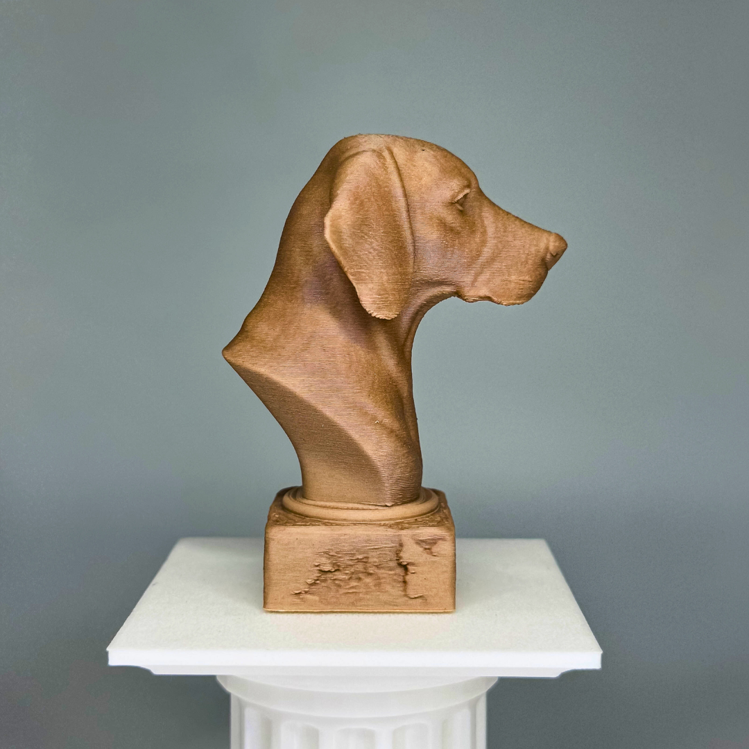 Hungarian Vizsla Bust