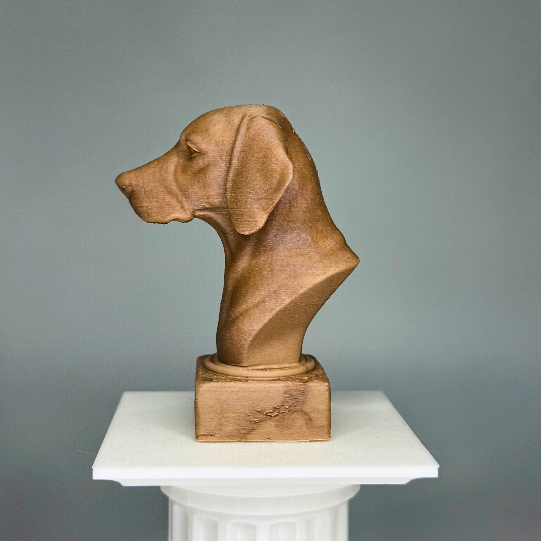 Hungarian Vizsla Bust