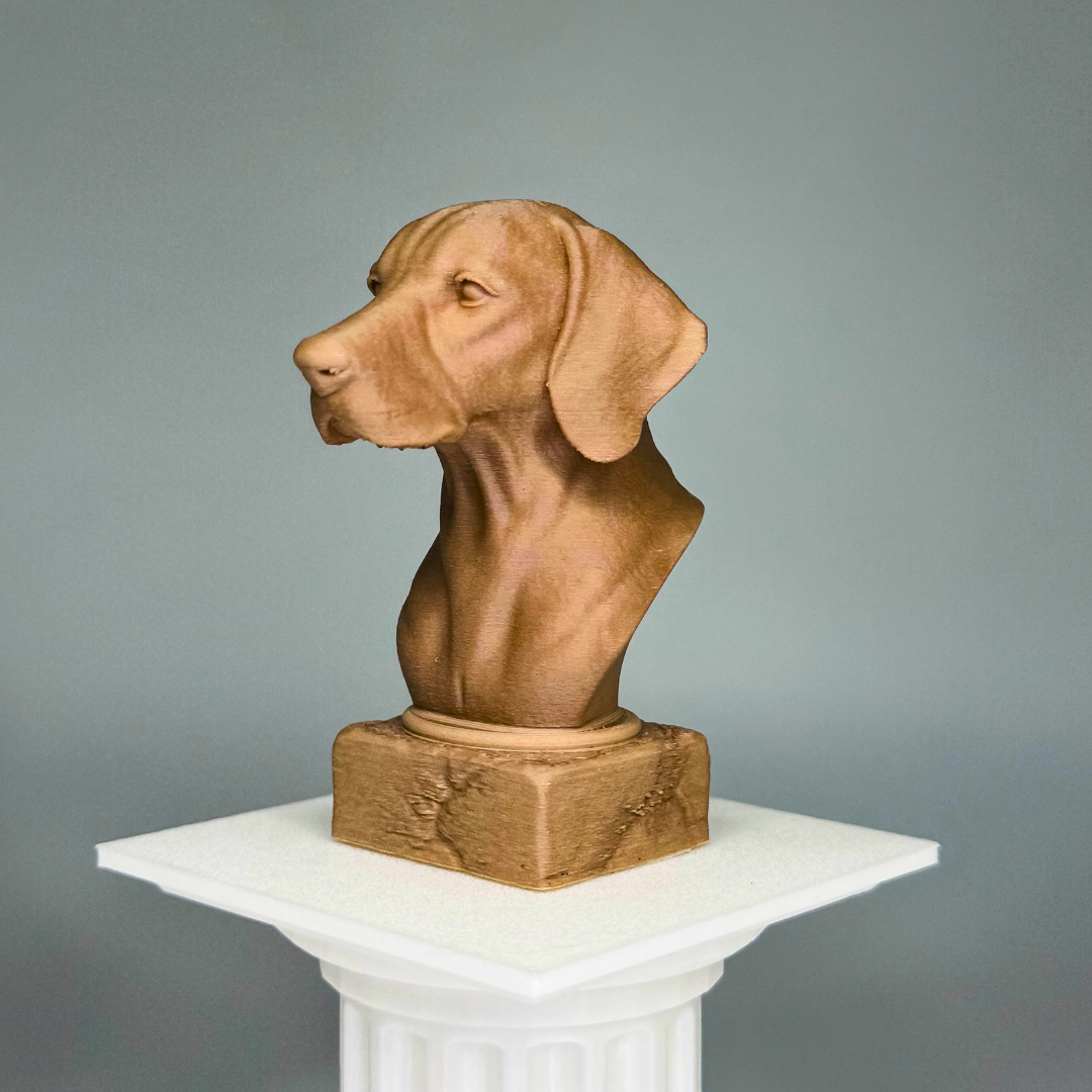 Hungarian Vizsla Bust