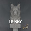 Husky Bust