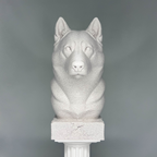 Husky Bust