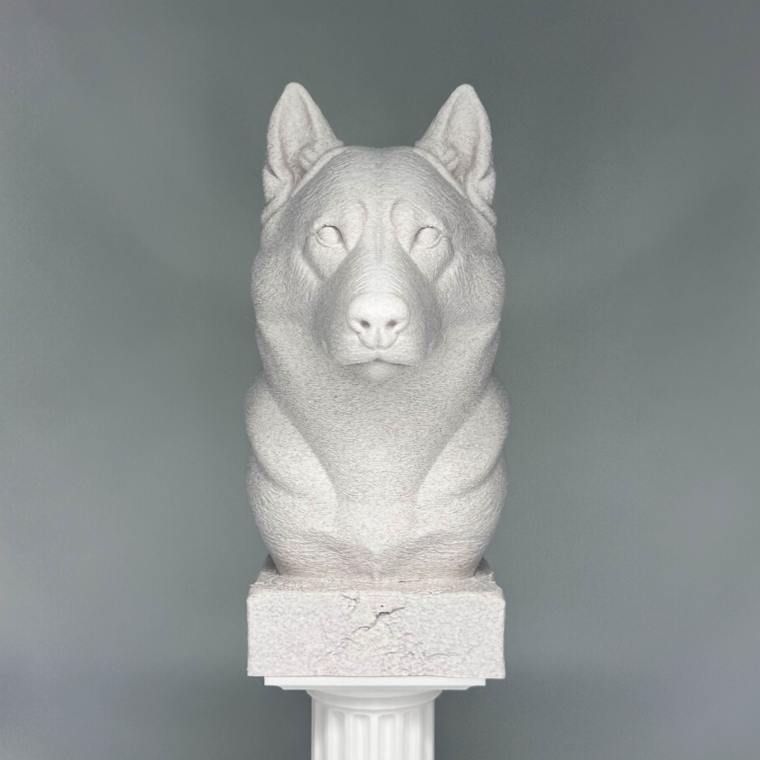 Husky Bust