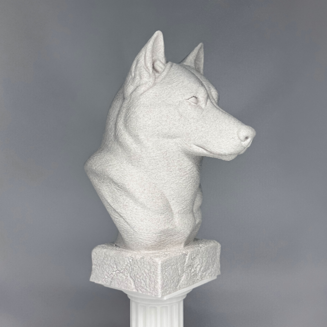 Husky Bust
