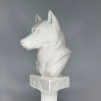 Husky Bust