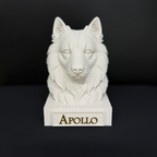 Keeshond Bust
