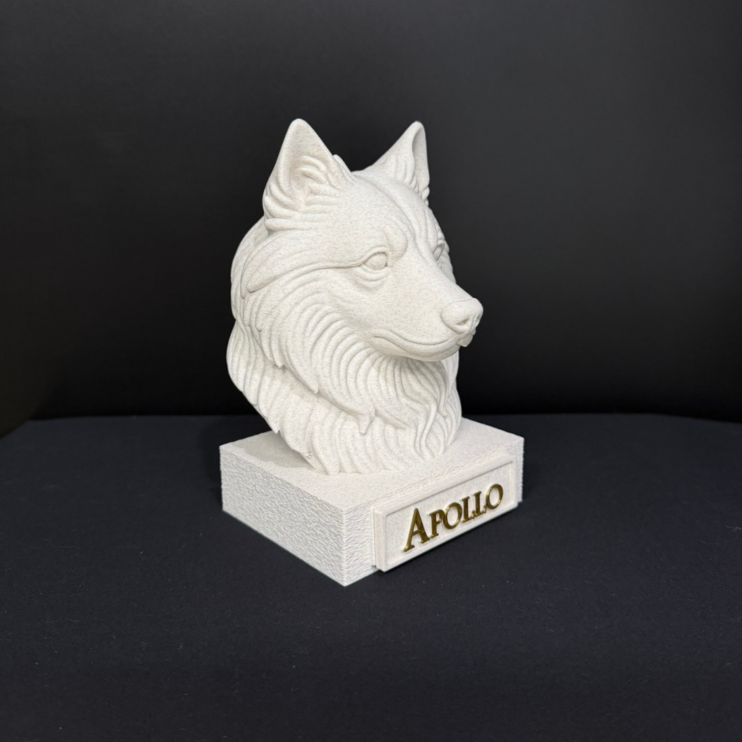 Keeshond Bust