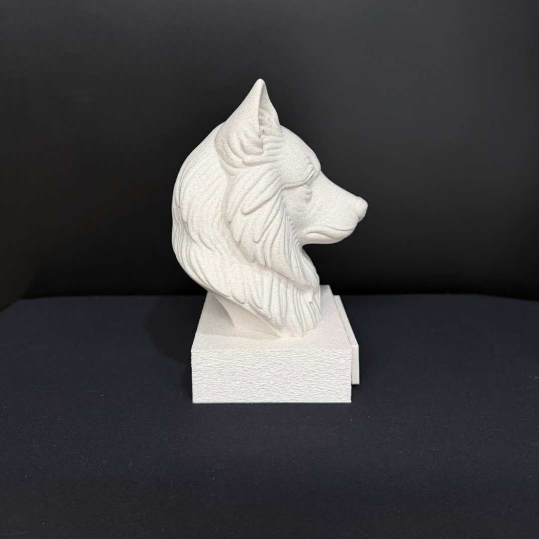 Keeshond Bust