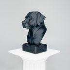 Labrador Bust