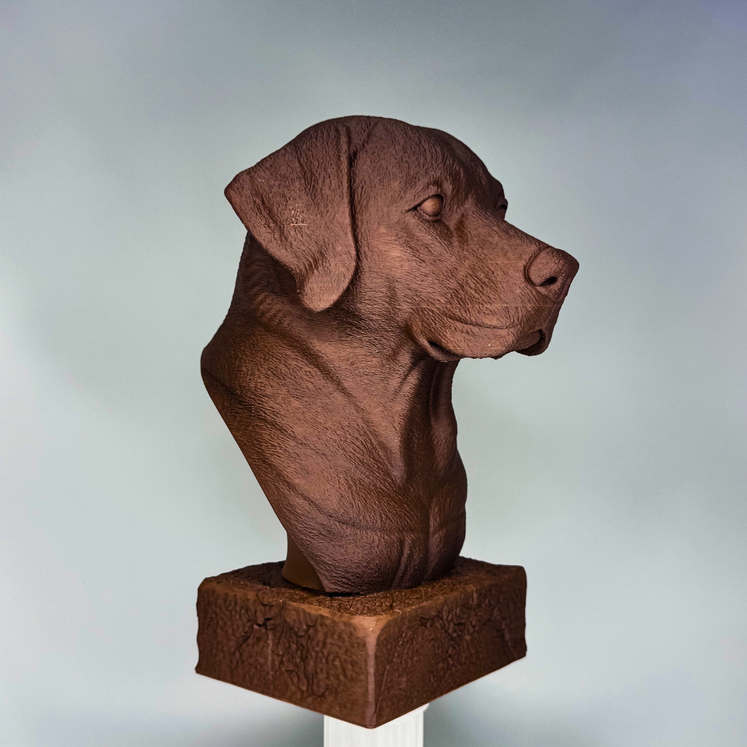 Labrador Bust