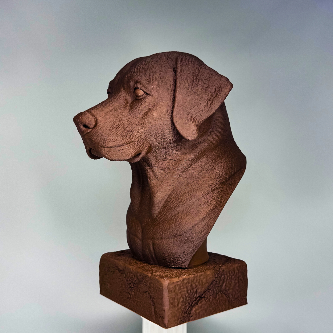 Labrador Bust