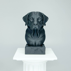 Labrador Bust