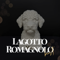 Lagotto Romagnolo Bust