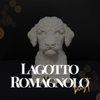 Lagotto Romagnolo Bust